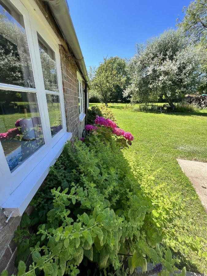 Adorable Two Bed Norfolk Broads Holiday Home - River Views With Moorings & Fishing Stalham Eksteriør billede