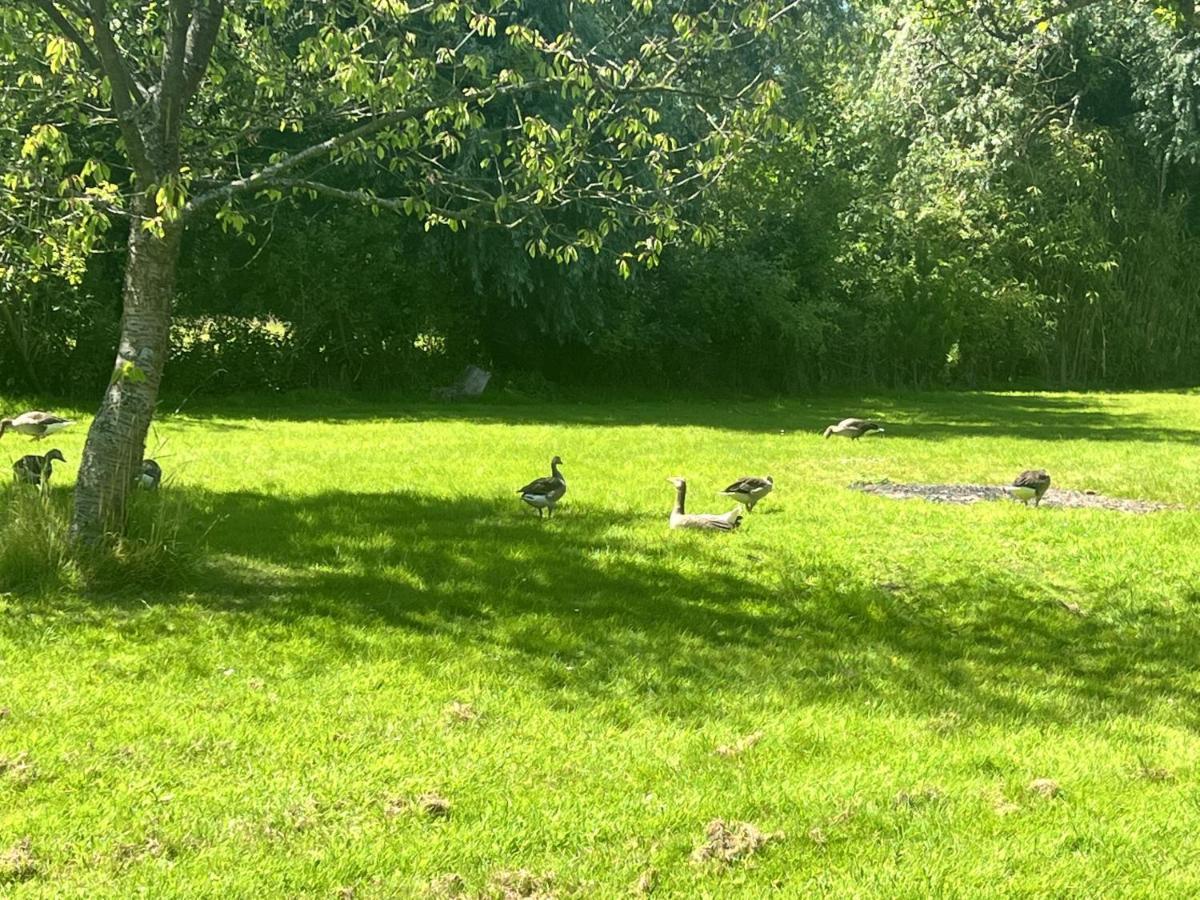 Adorable Two Bed Norfolk Broads Holiday Home - River Views With Moorings & Fishing Stalham Eksteriør billede